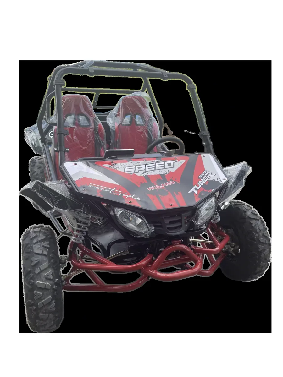 Adult Electric Kart